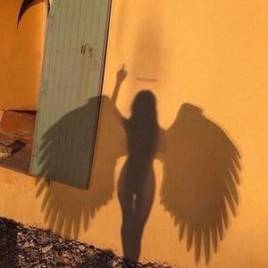 Meet your Posher, Holly m